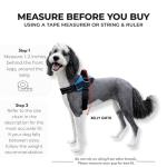 ShawnCo No-Pull Adjustable Dog Harness - Arctic Camo