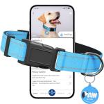 Personalized Reflective Collar for Large Dogs