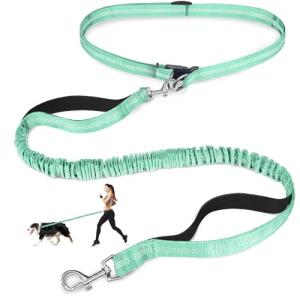 Adjustable Hands-Free Dog Leash with Reflective Stitches