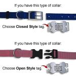 Personalized LuckyPet Slide-On Stainless Steel Dog ID Tags