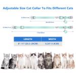 Personalized Glow in the Dark Cat Collar