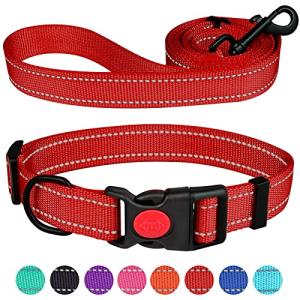 Reflective Dog Collar and Leash Set, Adjustable