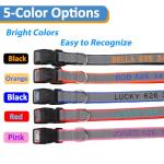Personalized Reflective Dog Collar with Embroidery