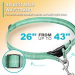 Adjustable Hands-Free Dog Leash with Reflective Stitches