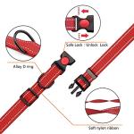 Reflective Dog Collar and Leash Set, Adjustable