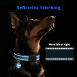 Personalized Reflective Collar for Large Dogs