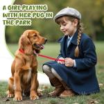 48-Piece Adjustable Puppy Collar and Leash Set