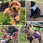 Adjustable Escape-Proof Harness and Leash Set