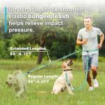 Adjustable Hands-Free Dog Leash with Reflective Stitches