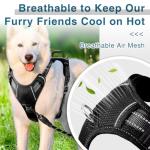 BARKBAY No Pull Dog Harness with ID Tag