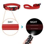 Reflective Dog Collar and Leash Set, Adjustable