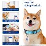 Personalized Reflective Collar for Large Dogs