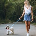 Adjustable Puppy and Kitten Collar and Leash Set