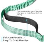 Adjustable Hands-Free Dog Leash with Reflective Stitches