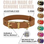 BronzeDog Leather Dog Collar with QR ID Tag