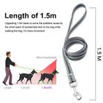 Adjustable Escape-Proof Harness and Leash Set