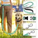 Adjustable Hands-Free Dog Leash with Reflective Stitches