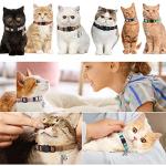 Soft Leather Breakaway Cat Collars with Bells - 2 Pack
