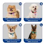 Personalized Reflective Collar for Large Dogs