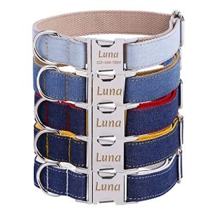 Custom Engraved Dog Collar with Name Plate