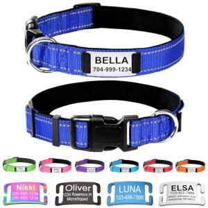Personalized Engraved Dog Collar with Reflective Nylon