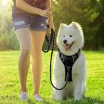 BARKBAY No Pull Dog Harness with ID Tag