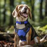 Reflective Neoprene Dog Collar for Large Dogs