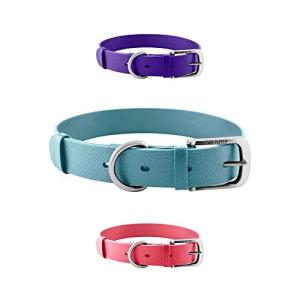 Heavy Duty Waterproof Dog Collar with Metal Hardware