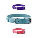 Heavy Duty Waterproof Dog Collar with Metal Hardware