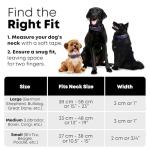 Medium Purple Waterproof Dog Collar and Leash Set