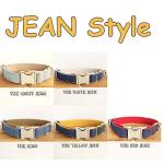 Custom Engraved Dog Collar with Name Plate