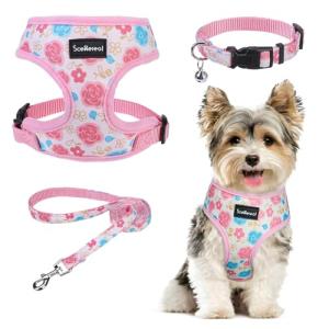 Small Dog Harness, Collar, and Leash Set