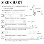 Personalized Engraved Dog Collar with Reflective Nylon