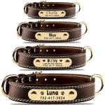Custom Leather Dog Collar with Engravable Nameplate