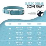 Heavy Duty Waterproof Dog Collar with Metal Hardware