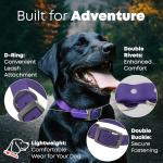 Medium Purple Waterproof Dog Collar and Leash Set