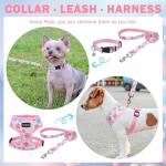 Small Dog Harness, Collar, and Leash Set