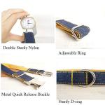 Custom Engraved Dog Collar with Name Plate