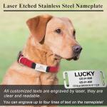 Personalized Engraved Dog Collar with Reflective Nylon