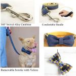 Custom Engraved Dog Collar with Name Plate