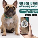 BronzeDog Leather Dog Collar with QR ID Tag