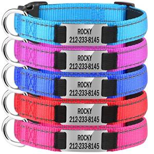 Reflective Engraved Dog Collars - Adjustable & Durable