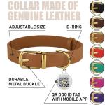 Bronzedog Leather Collar with QR ID Tag