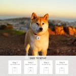Smart QR Code Pet ID Tag for Dogs