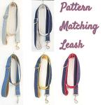 Custom Engraved Dog Collar with Name Plate