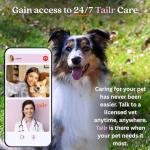 Custom QR Code Pet ID Tag with Free App