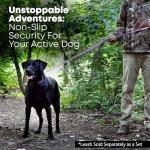 Medium Purple Waterproof Dog Collar and Leash Set