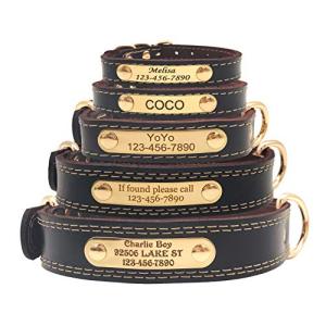 Custom Leather Dog Collar with Engraved ID Tag