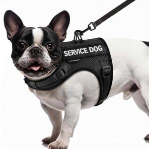 FAYOGOO Small Dog Service Vest with Leash