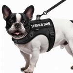 FAYOGOO Small Dog Service Vest with Leash